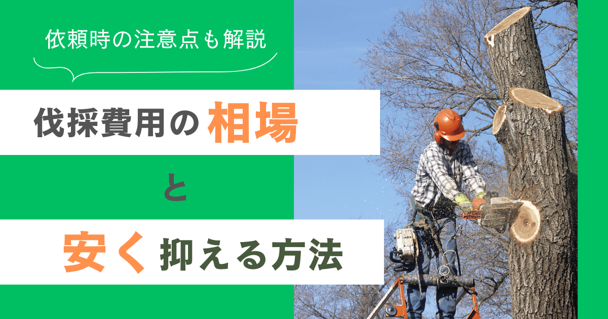 伐採費用の相場と安く抑える方法｜依頼時の注意点も解説 | 徳永林業