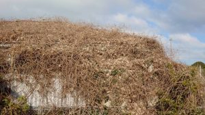 2026_03_25 山陽小野田市　作業前