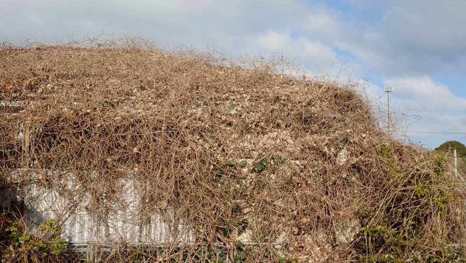 2026_03_25 山陽小野田市　作業前